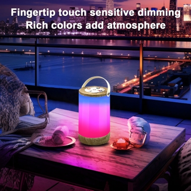 LED室内灯 - HCP030 手提氛围灯